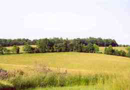 2 MT ALTO RD