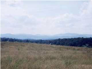 SPRING HILL RD