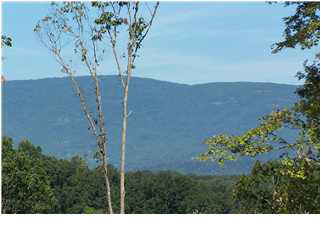 1 HIDDEN VALLEY TRL