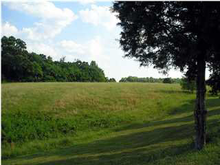 FRAYS RIDGE RD