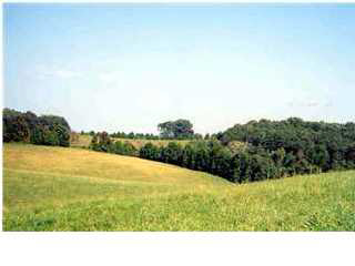 7 MOUNT ALTO RD