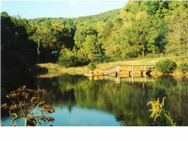 1 DUTCH CREEK LN