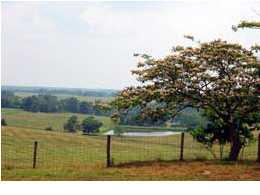 2610 LONE OAK FARM RD