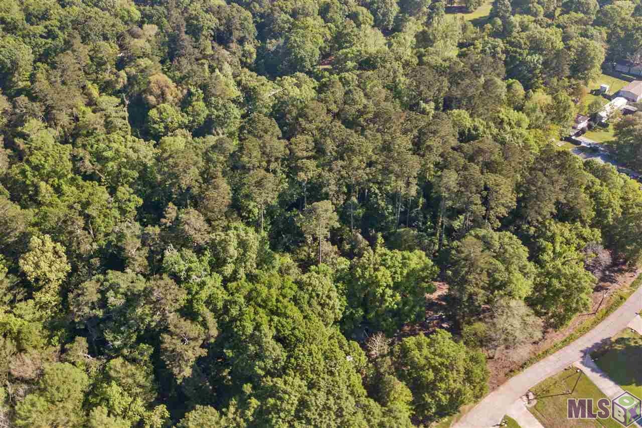 Homes for sale in Denham Springs, LA | 7003 Chandler Bluff Rd, Denham Springs, LA 70706 | MLS# BR2020005022