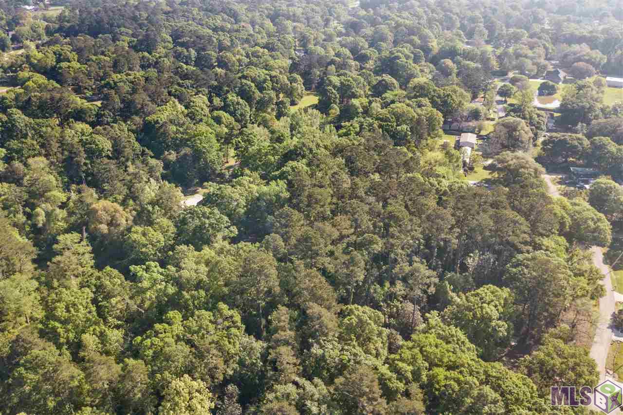 Homes for sale in Denham Springs, LA | 7003 Chandler Bluff Rd, Denham Springs, LA 70706 | MLS# BR2020005022