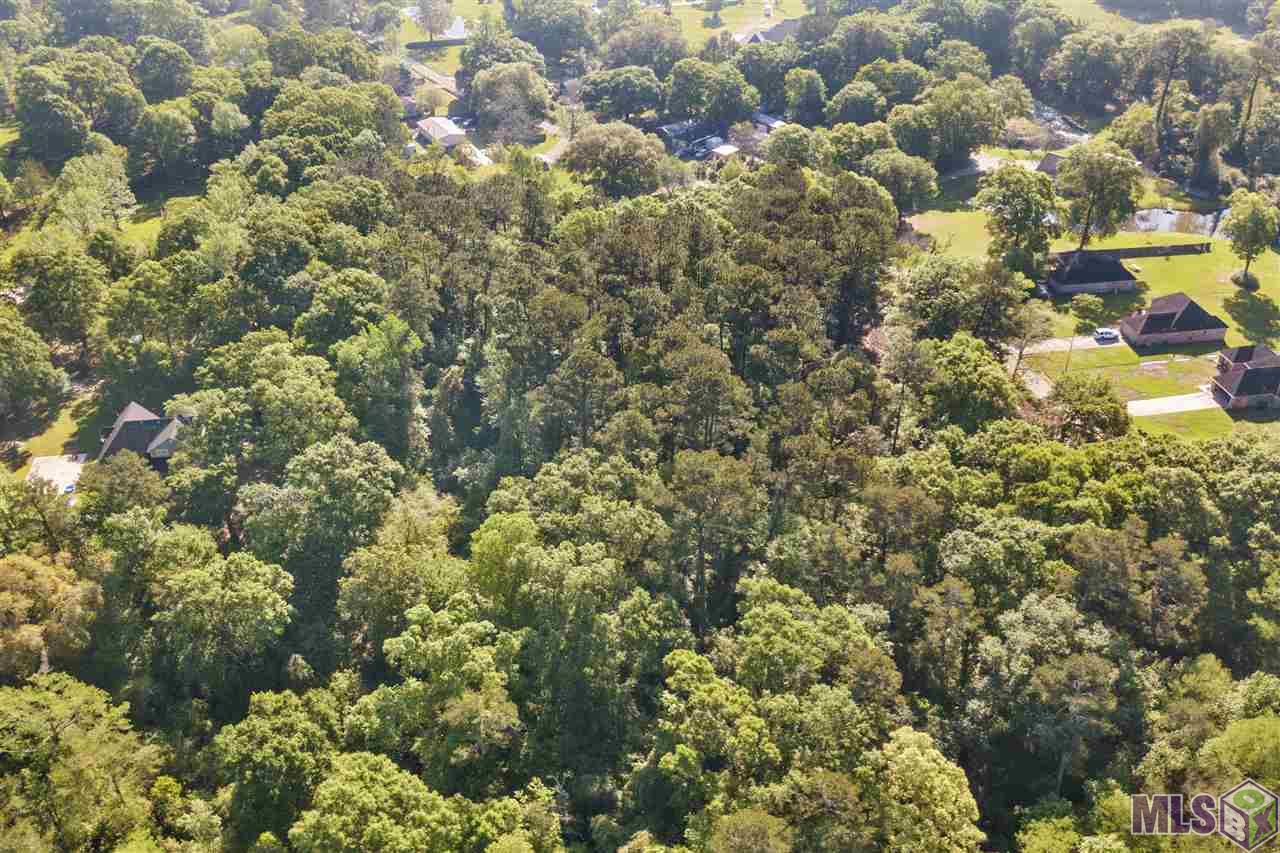 Homes for sale in Denham Springs, LA | 7003 Chandler Bluff Rd, Denham Springs, LA 70706 | MLS# BR2020005022