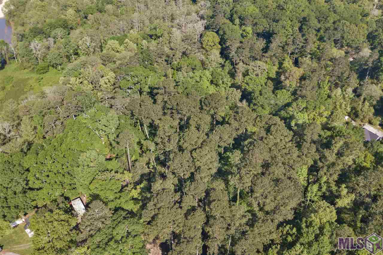 Homes for sale in Denham Springs, LA | 7003 Chandler Bluff Rd, Denham Springs, LA 70706 | MLS# BR2020005022