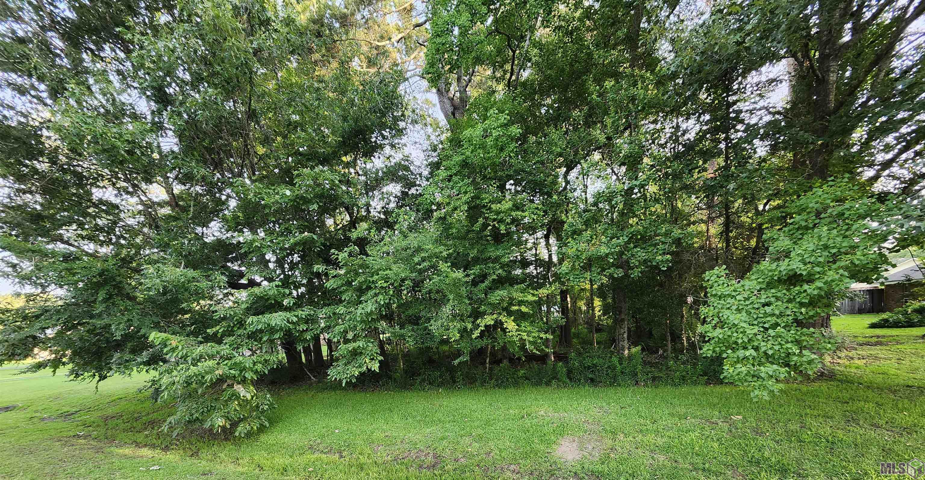 Homes for sale in Greenwell Springs, LA | 5718 Landmor Dr, Greenwell Springs, LA 70739 | MLS# BR2024010492