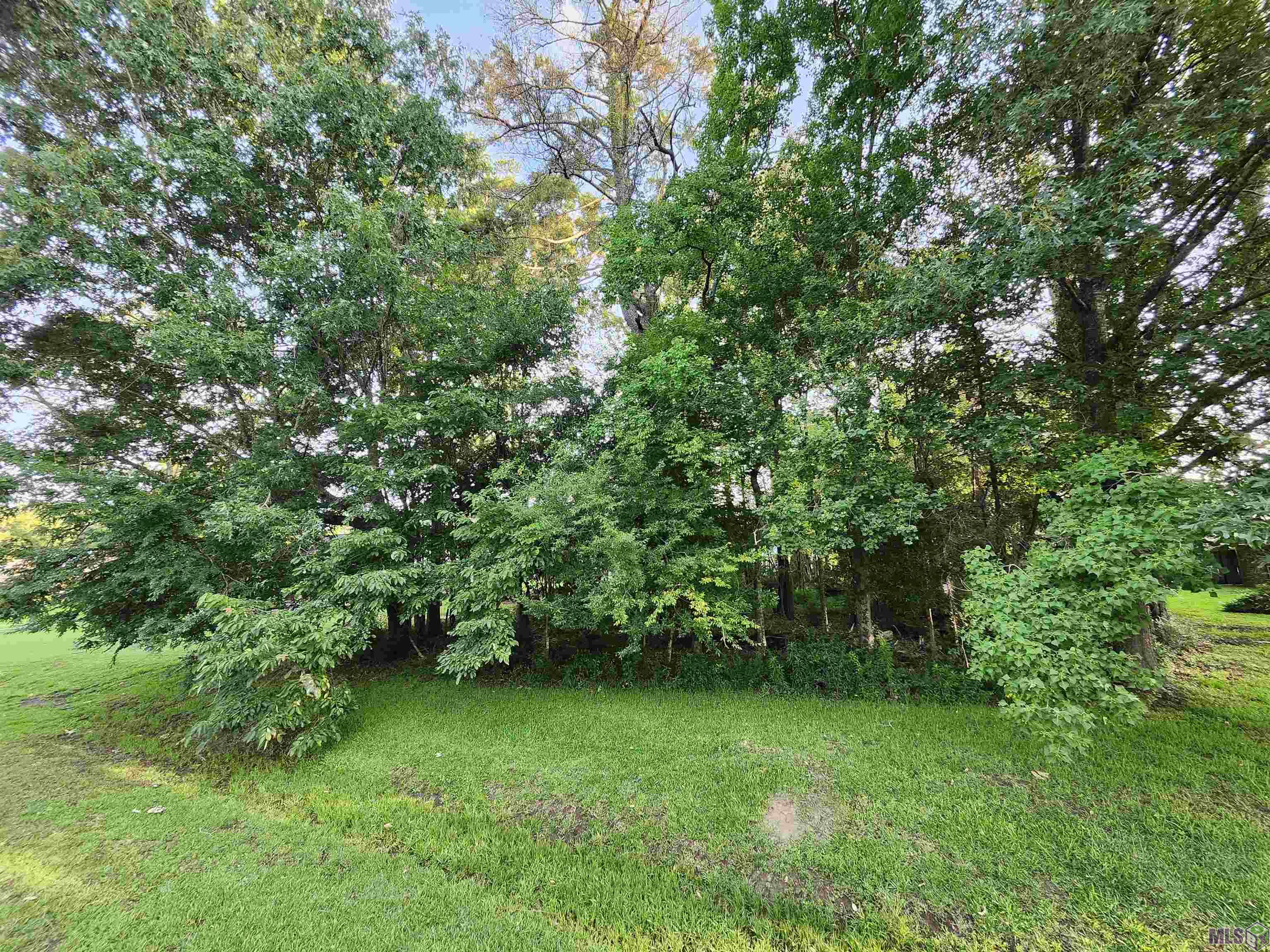 Homes for sale in Greenwell Springs, LA | 5718 Landmor Dr, Greenwell Springs, LA 70739 | MLS# BR2024010492