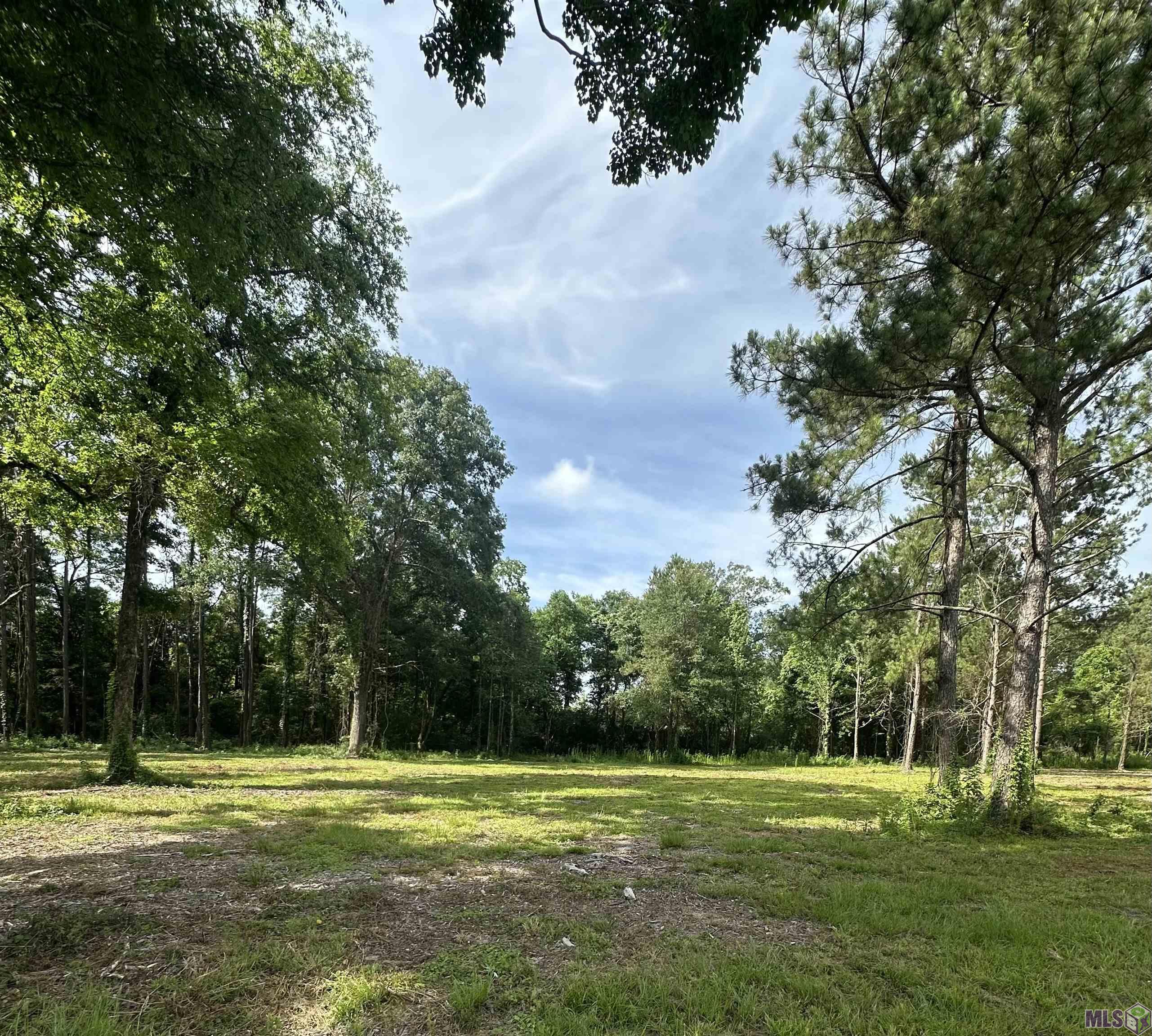 Homes for sale in Denham Springs, LA | Tract E La Hwy 16, Denham Springs, LA 70706 | MLS# BR2024012804