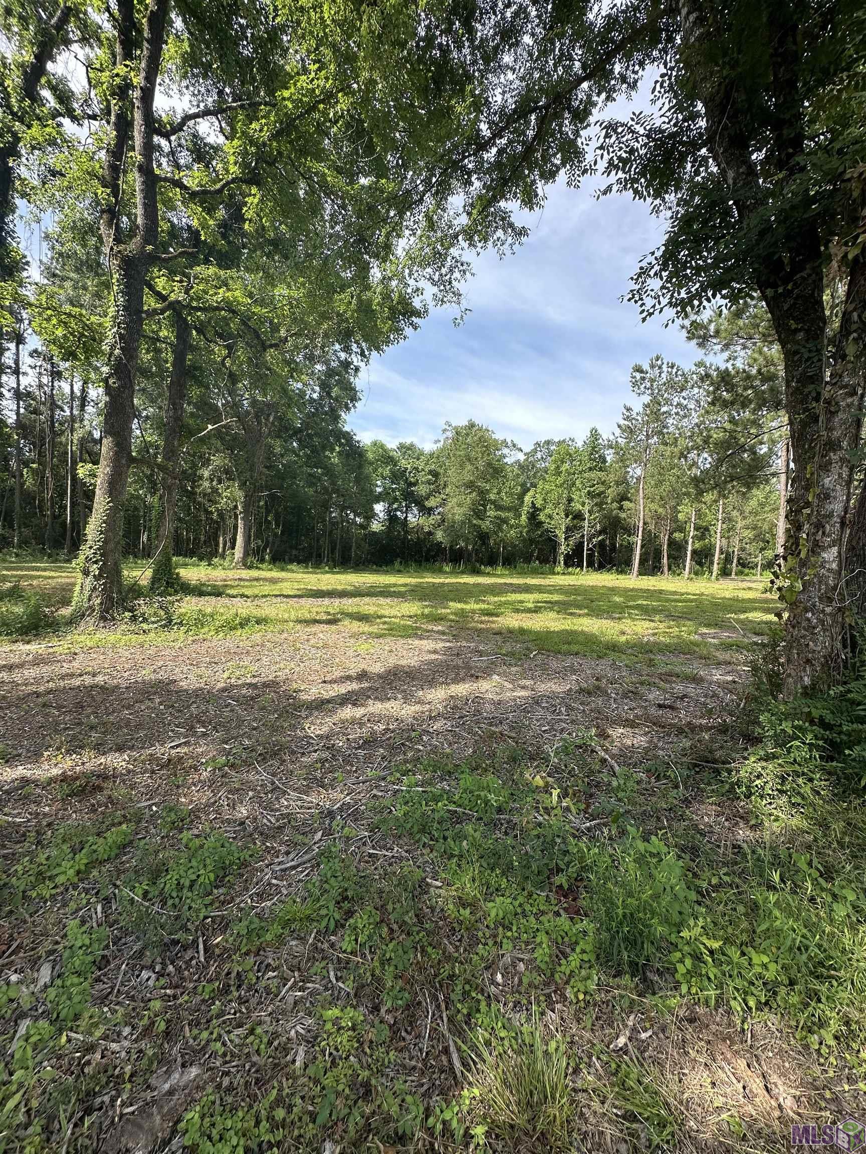 Homes for sale in Denham Springs, LA | Tract E La Hwy 16, Denham Springs, LA 70706 | MLS# BR2024012804