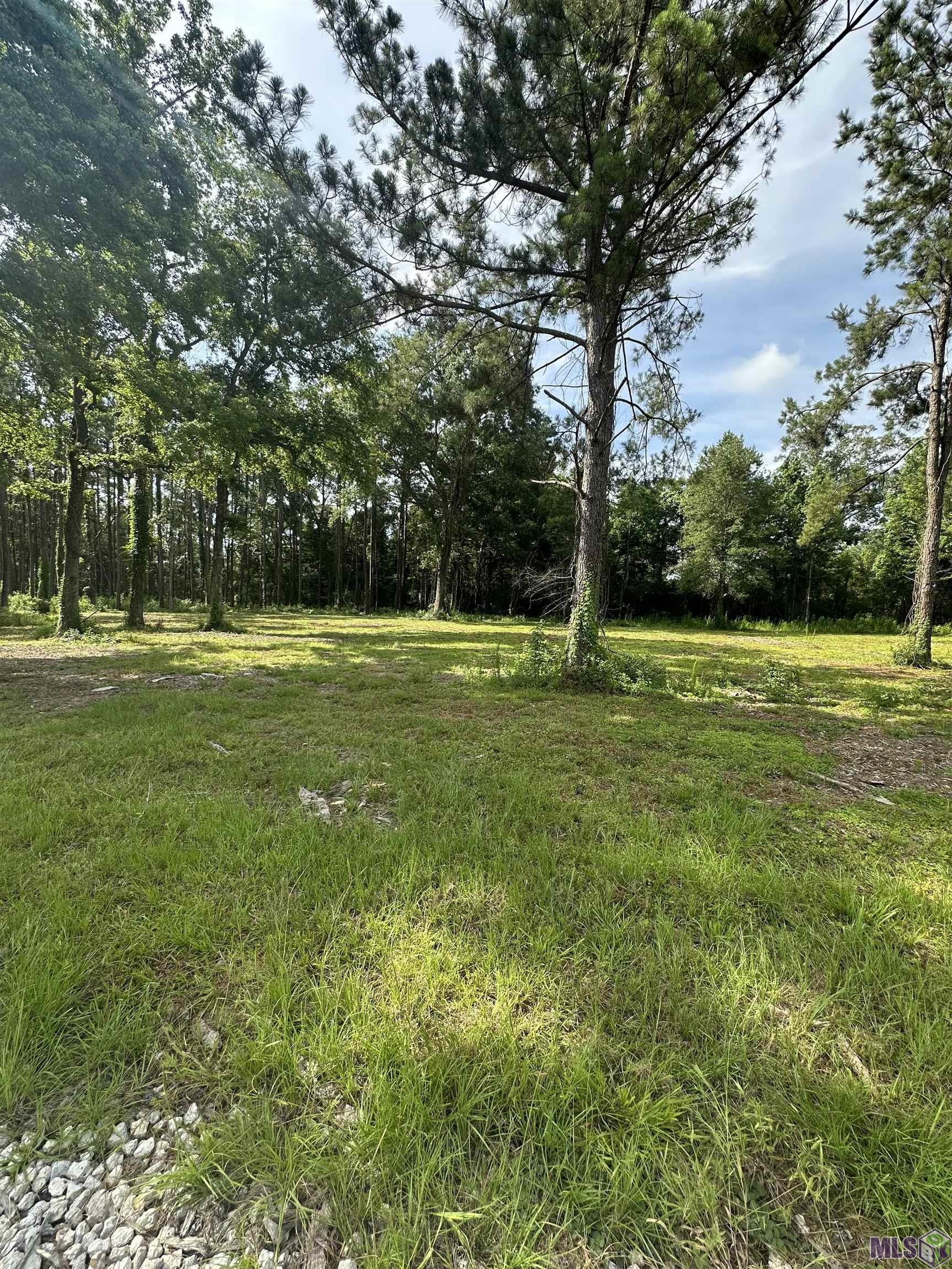 Homes for sale in Denham Springs, LA | Tract E La Hwy 16, Denham Springs, LA 70706 | MLS# BR2024012804