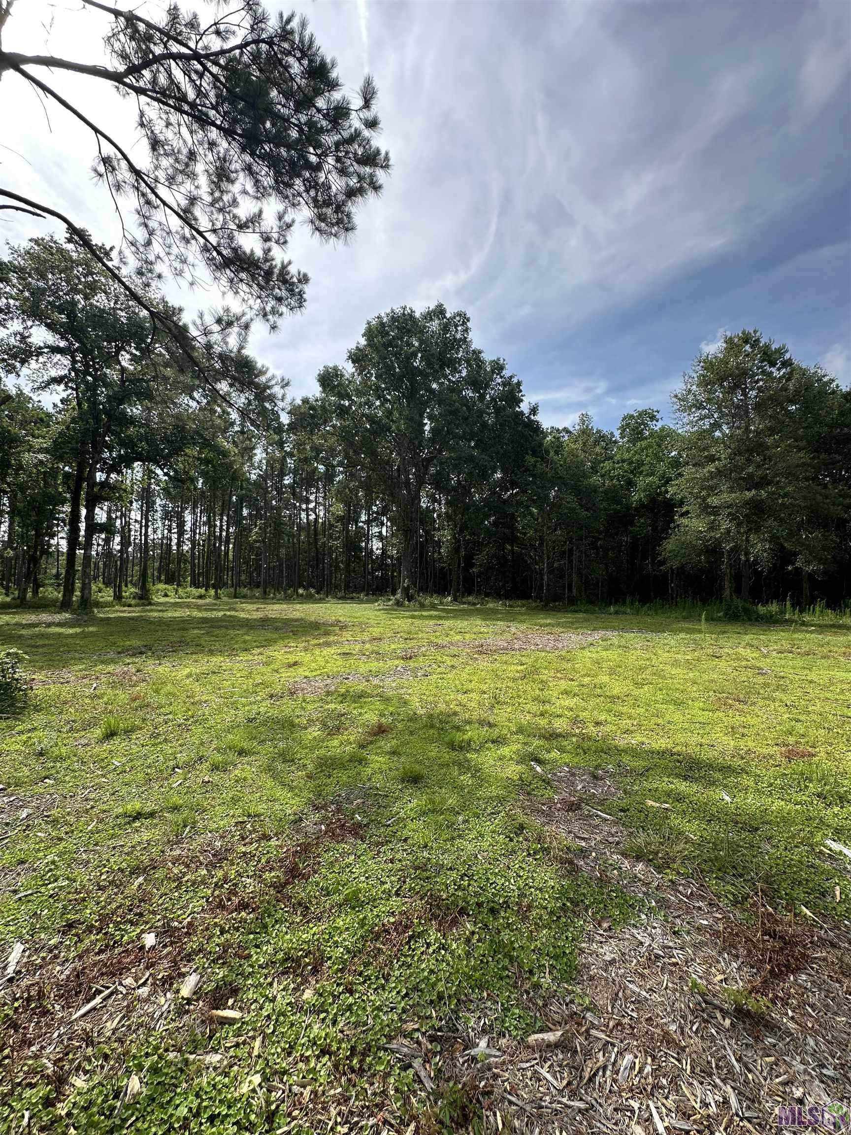 Homes for sale in Denham Springs, LA | Tract E La Hwy 16, Denham Springs, LA 70706 | MLS# BR2024012804