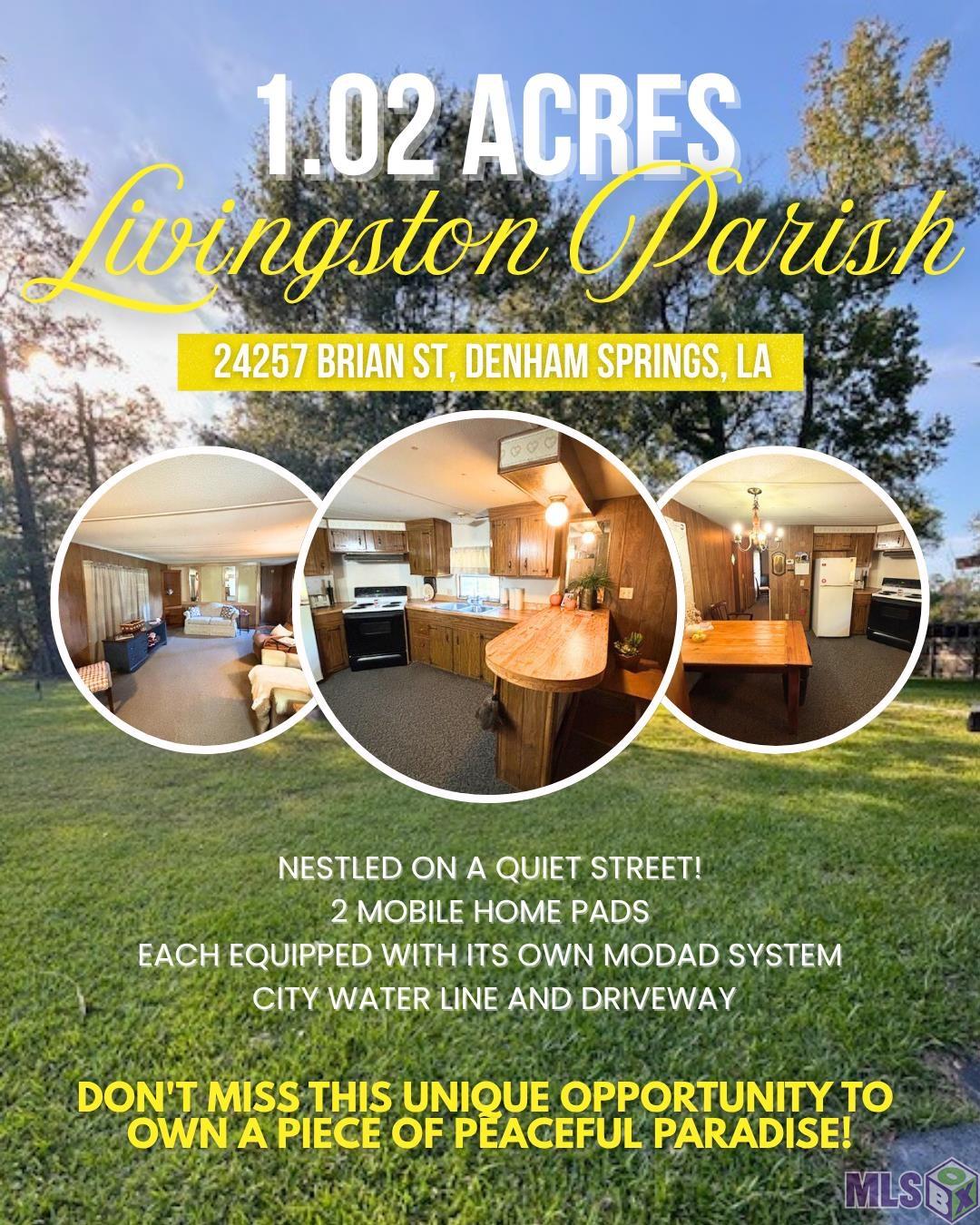 Homes for sale in Denham Springs, LA | 24257 Brian St, Denham Springs, LA 70726 | MLS# BR2024022378