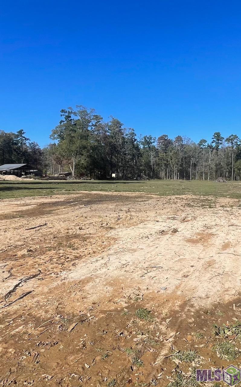 Homes for sale in Denham Springs, LA | Y-3 Arnold Rd, Denham Springs, LA 70726 | MLS# BR2025000197