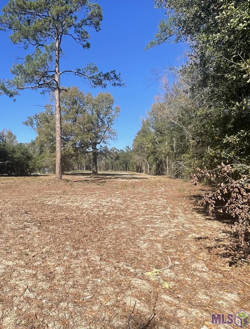 Homes for sale in Denham Springs, LA | Y-3 Arnold Rd, Denham Springs, LA 70726 | MLS# BR2025000197