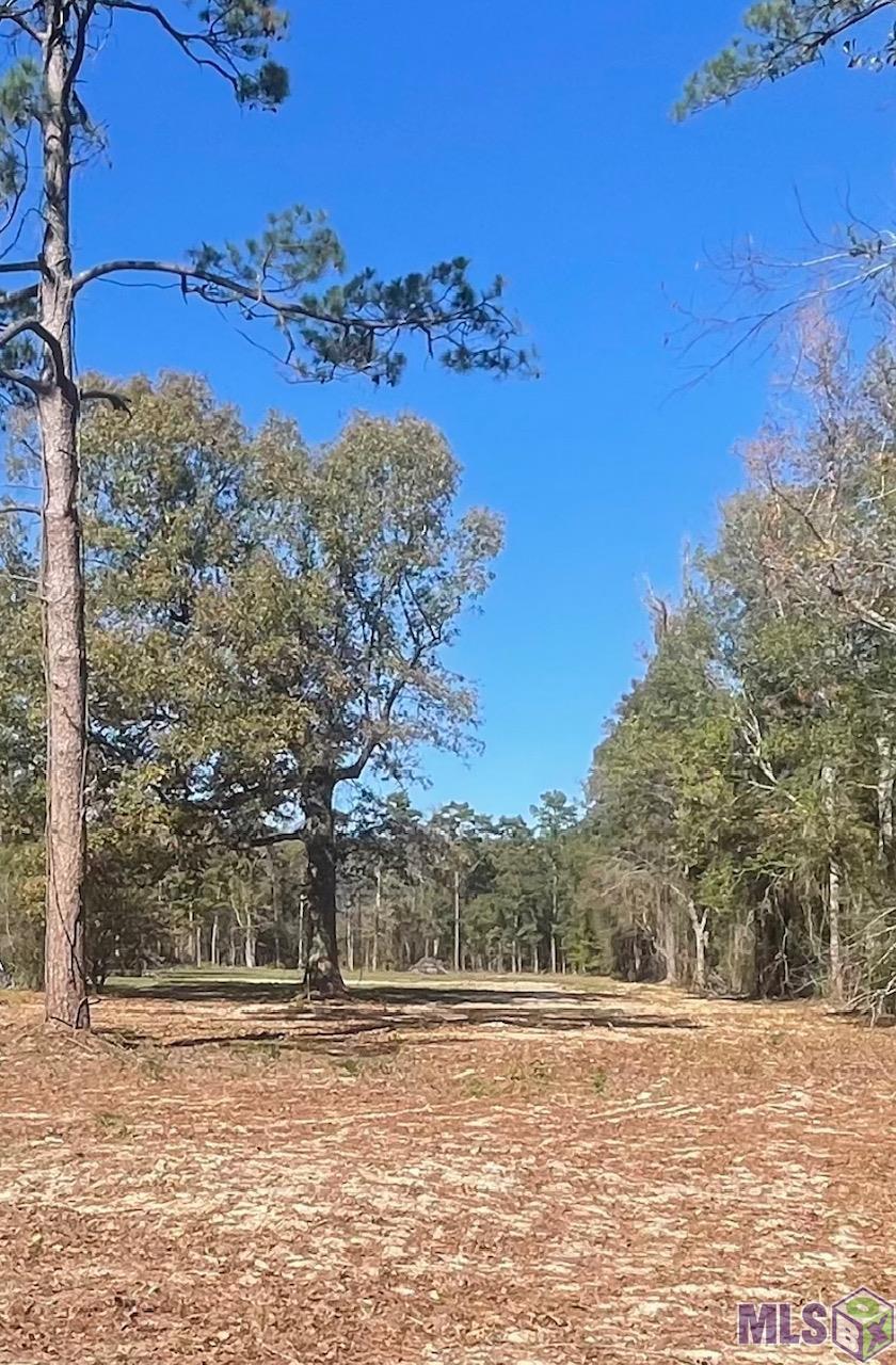 Homes for sale in Denham Springs, LA | Y-3 Arnold Rd, Denham Springs, LA 70726 | MLS# BR2025000197