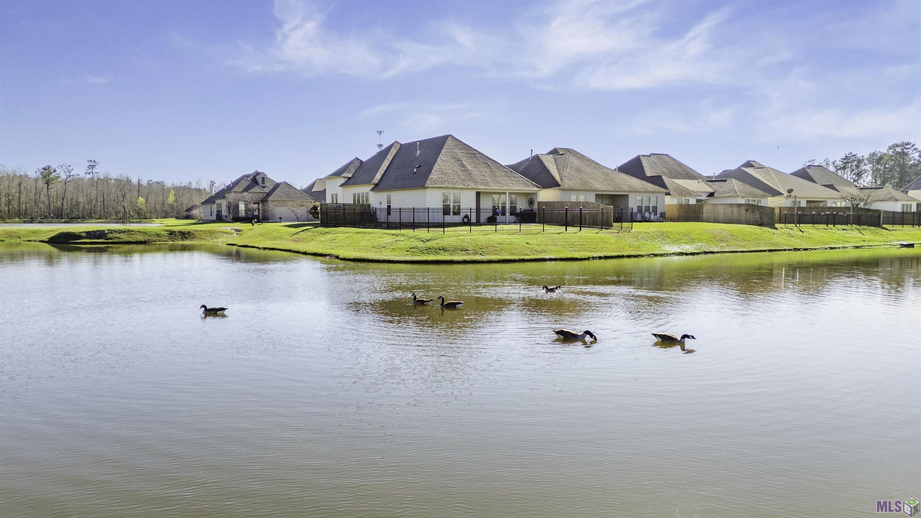 Homes for sale in Denham Springs, LA | 10429 Belle Isle, Denham Springs, LA 70726 | MLS# BR2025003108