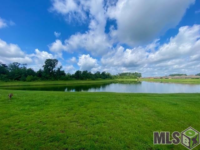 Homes for sale in Denham Springs, LA | 23217 Harlington Dr, Denham Springs, LA 70726 | MLS# BR2025003984