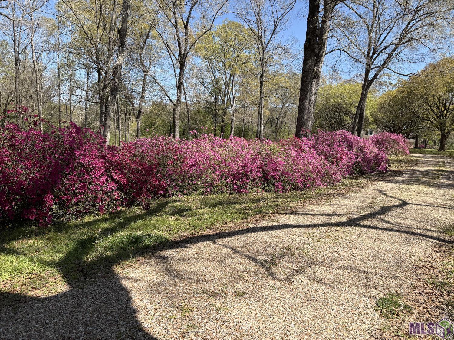 Homes for sale in St. Francisville, LA | 4346 Folkes Rd, St. Francisville, LA 70775 | MLS# BR2025008408