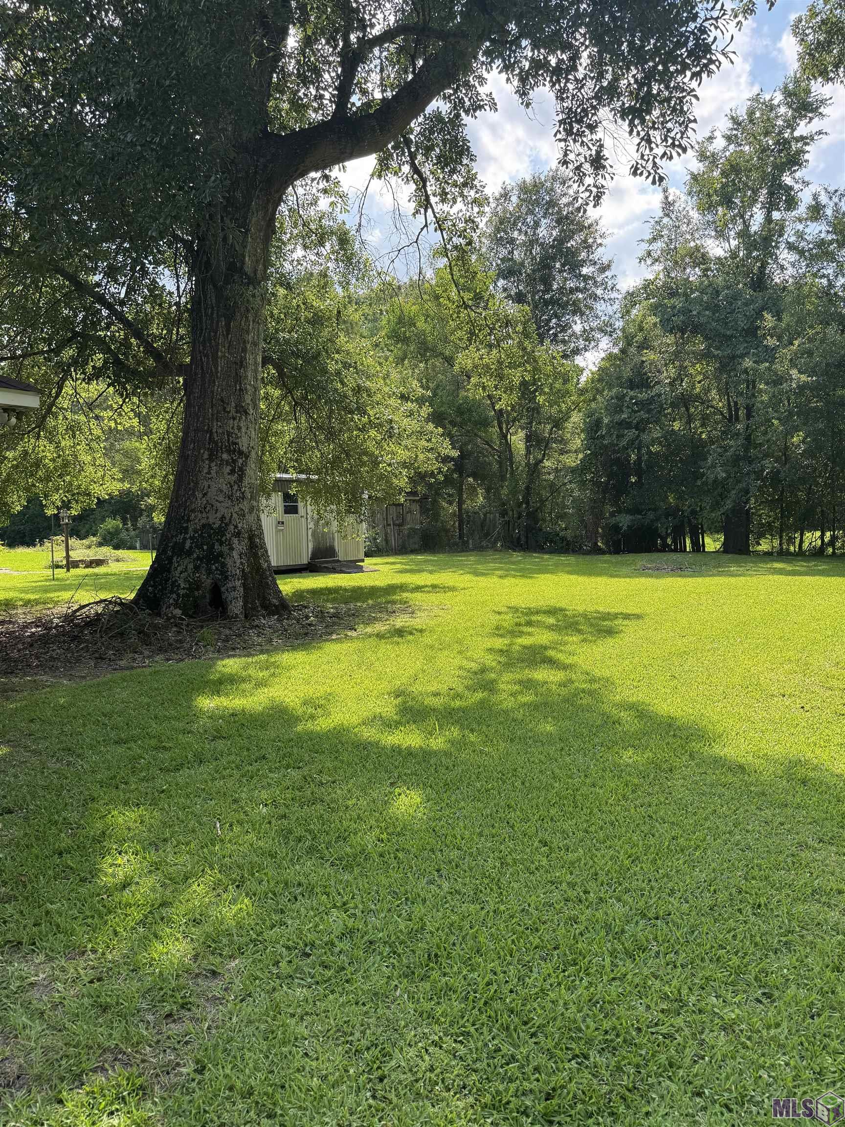 Homes for sale in Denham Springs, LA | 2023 Fern St, Denham Springs, LA 70726 | MLS# BR2025010385