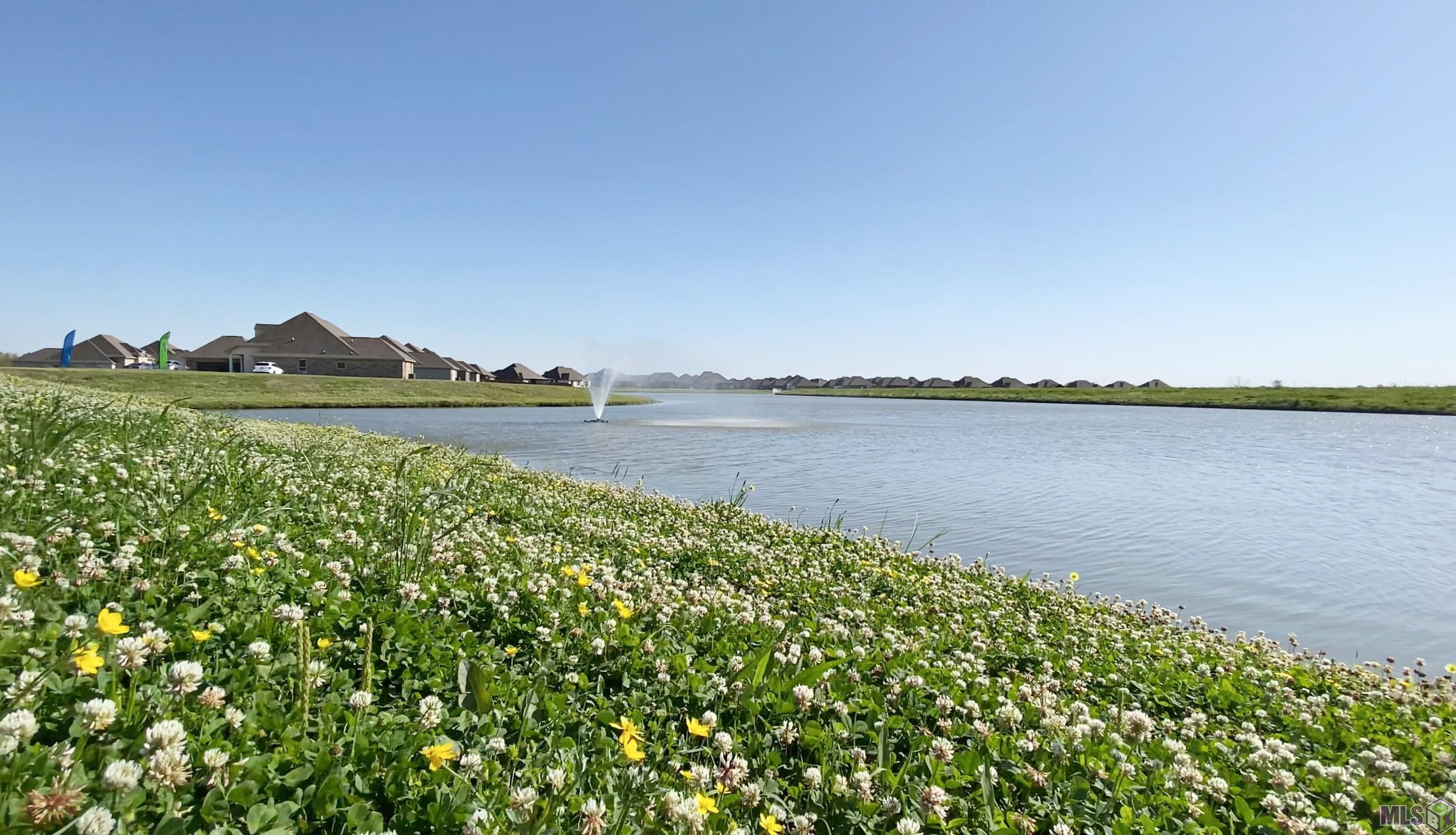 Homes for sale in Thibodaux, LA | 205 Queens Way, Thibodaux, LA 70301 | MLS# BR2025010938