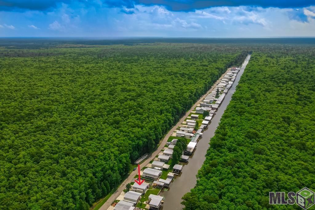 Homes for sale in Maurepas, LA | 23082 Chene Blanc Ln, Maurepas, LA 70449 | MLS# BR2025011604