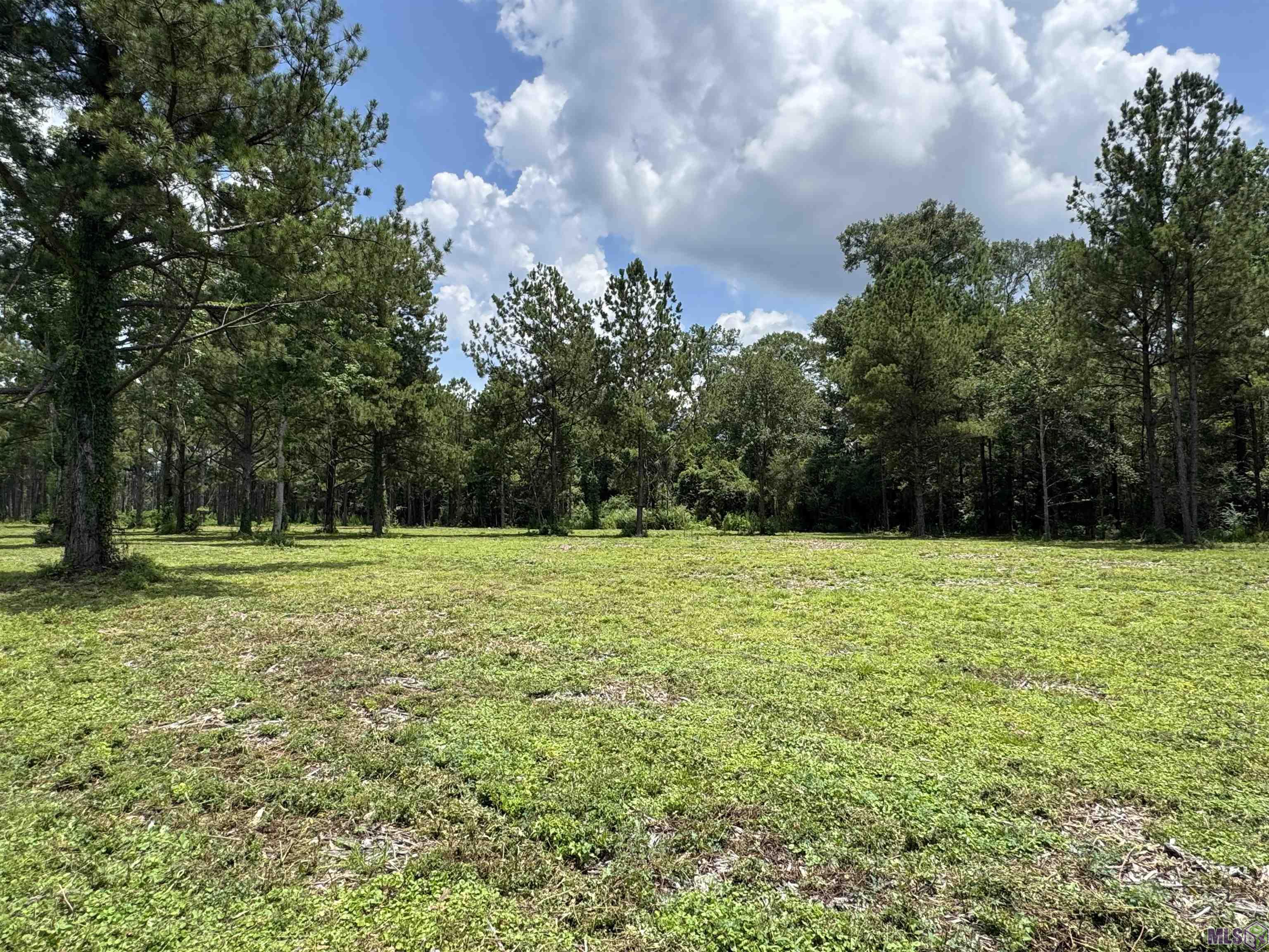 Homes for sale in Denham Springs, LA | Tract C La Hwy 16, Denham Springs, LA 70706 | MLS# BR2025012001