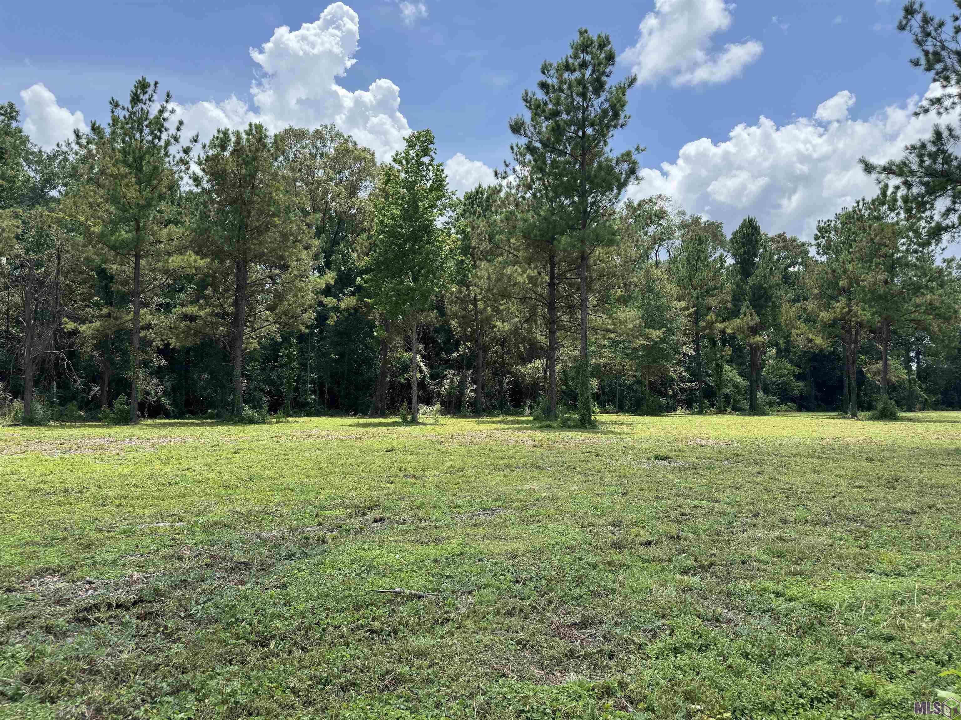 Homes for sale in Denham Springs, LA | Tract C La Hwy 16, Denham Springs, LA 70706 | MLS# BR2025012001