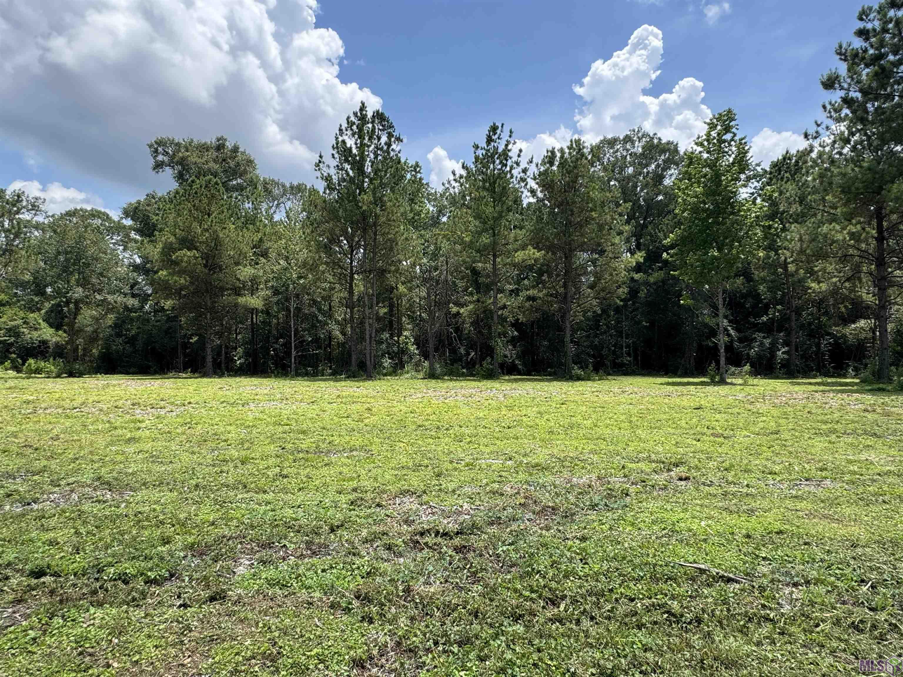 Homes for sale in Denham Springs, LA | Tract C La Hwy 16, Denham Springs, LA 70706 | MLS# BR2025012001