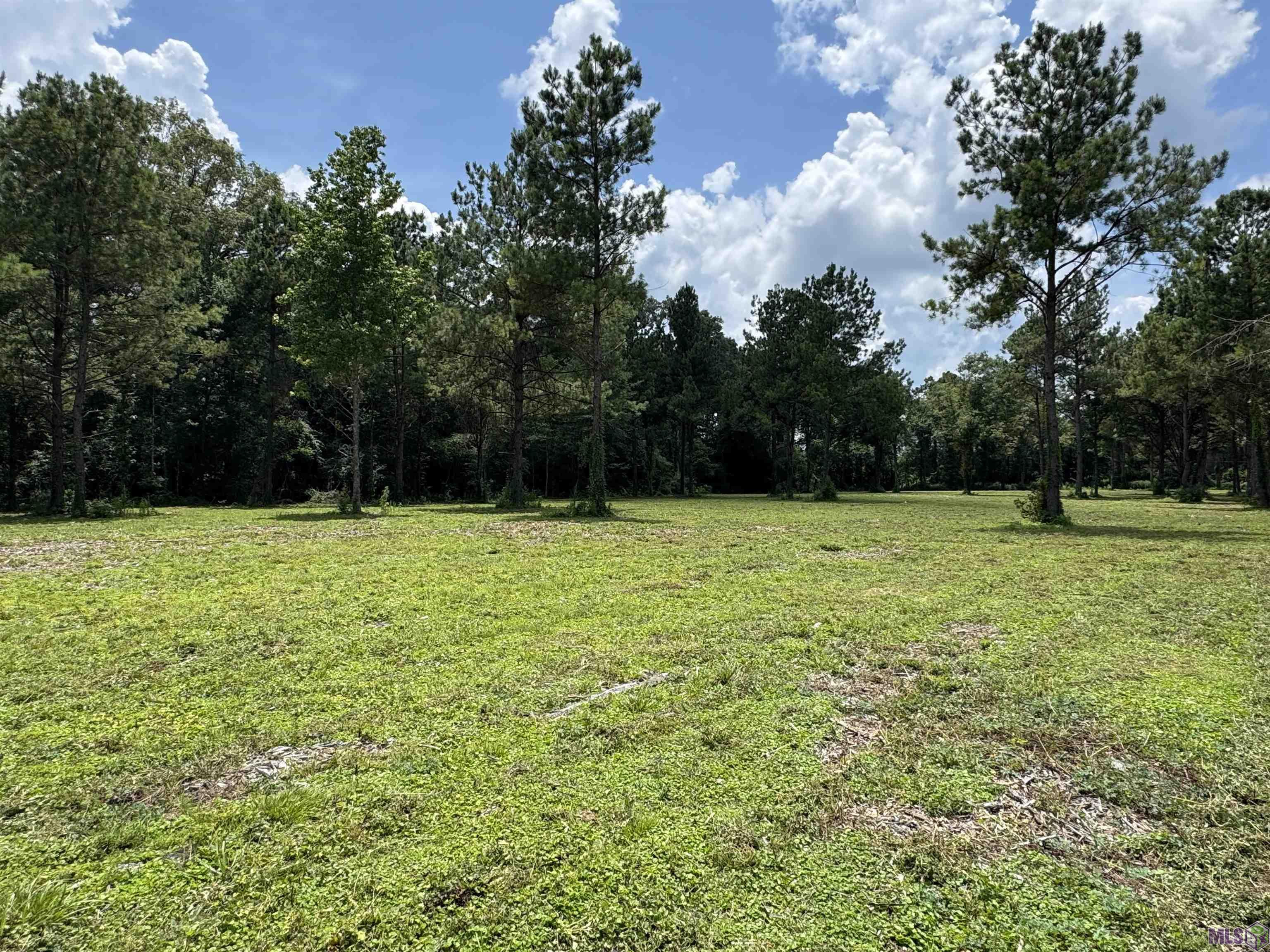 Homes for sale in Denham Springs, LA | Tract C La Hwy 16, Denham Springs, LA 70706 | MLS# BR2025012001