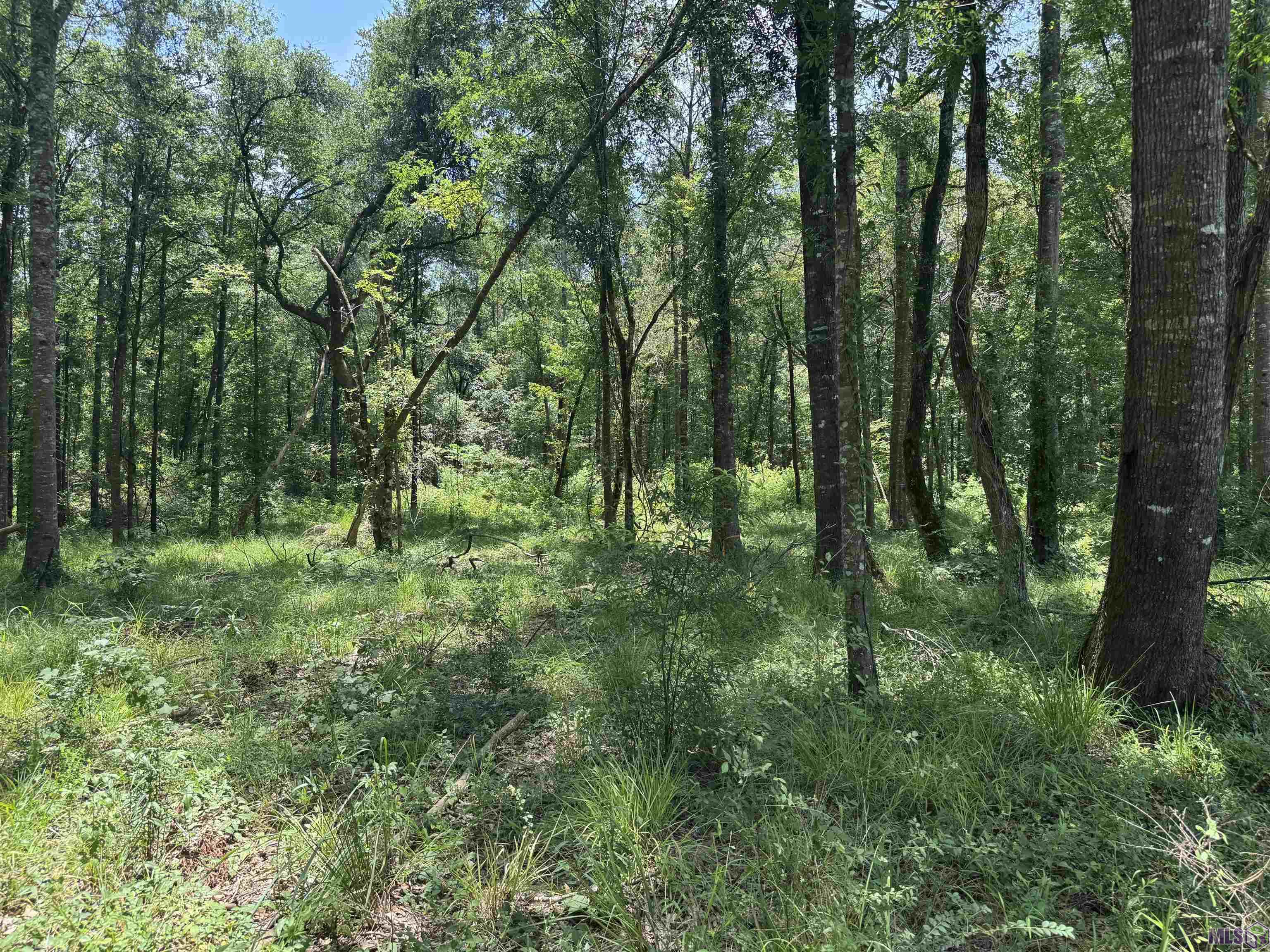 Homes for sale in Denham Springs, LA | Sf-13 La Hwy 16, Denham Springs, LA 70706 | MLS# BR2025012002