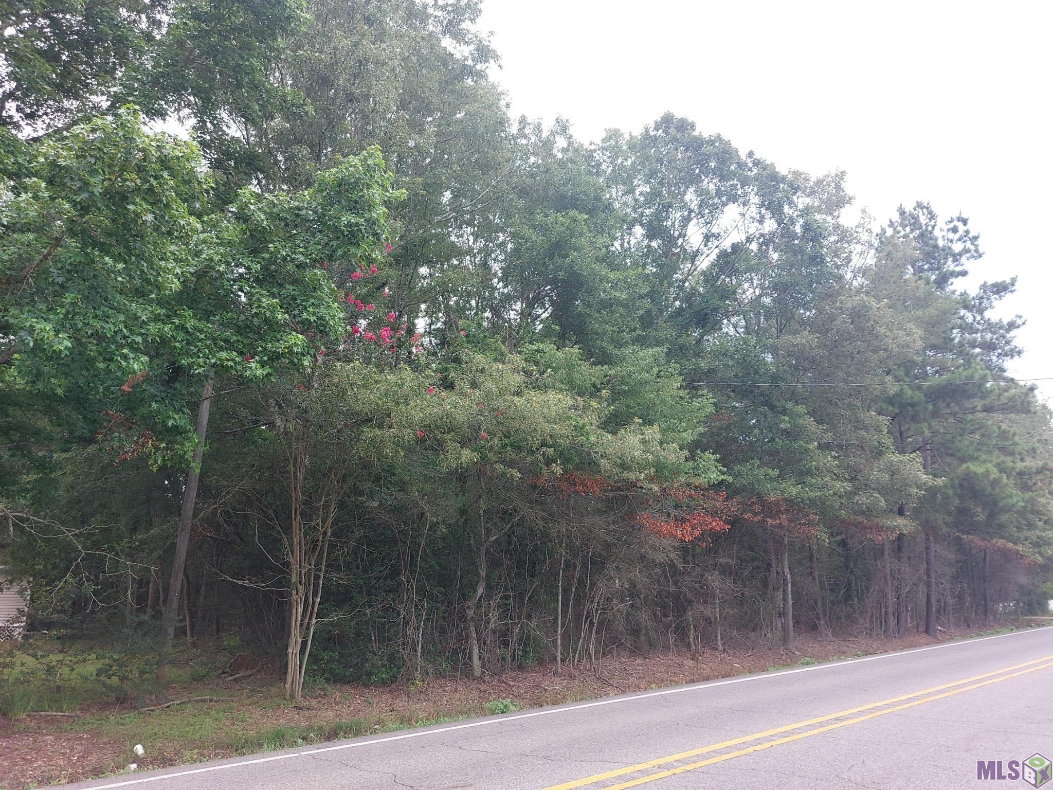 Homes for sale in Denham Springs, LA | A-2 La Hwy 1019, Denham Springs, LA 70706 | MLS# BR2025012194