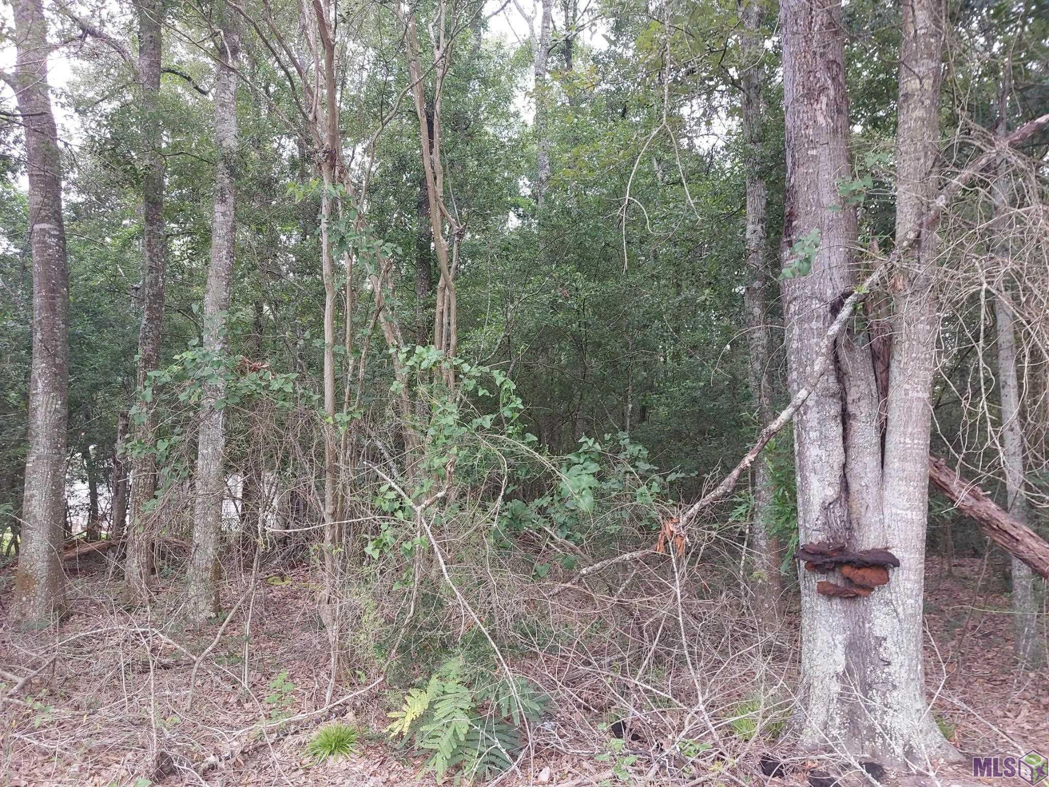 Homes for sale in Denham Springs, LA | A-2 La Hwy 1019, Denham Springs, LA 70706 | MLS# BR2025012194