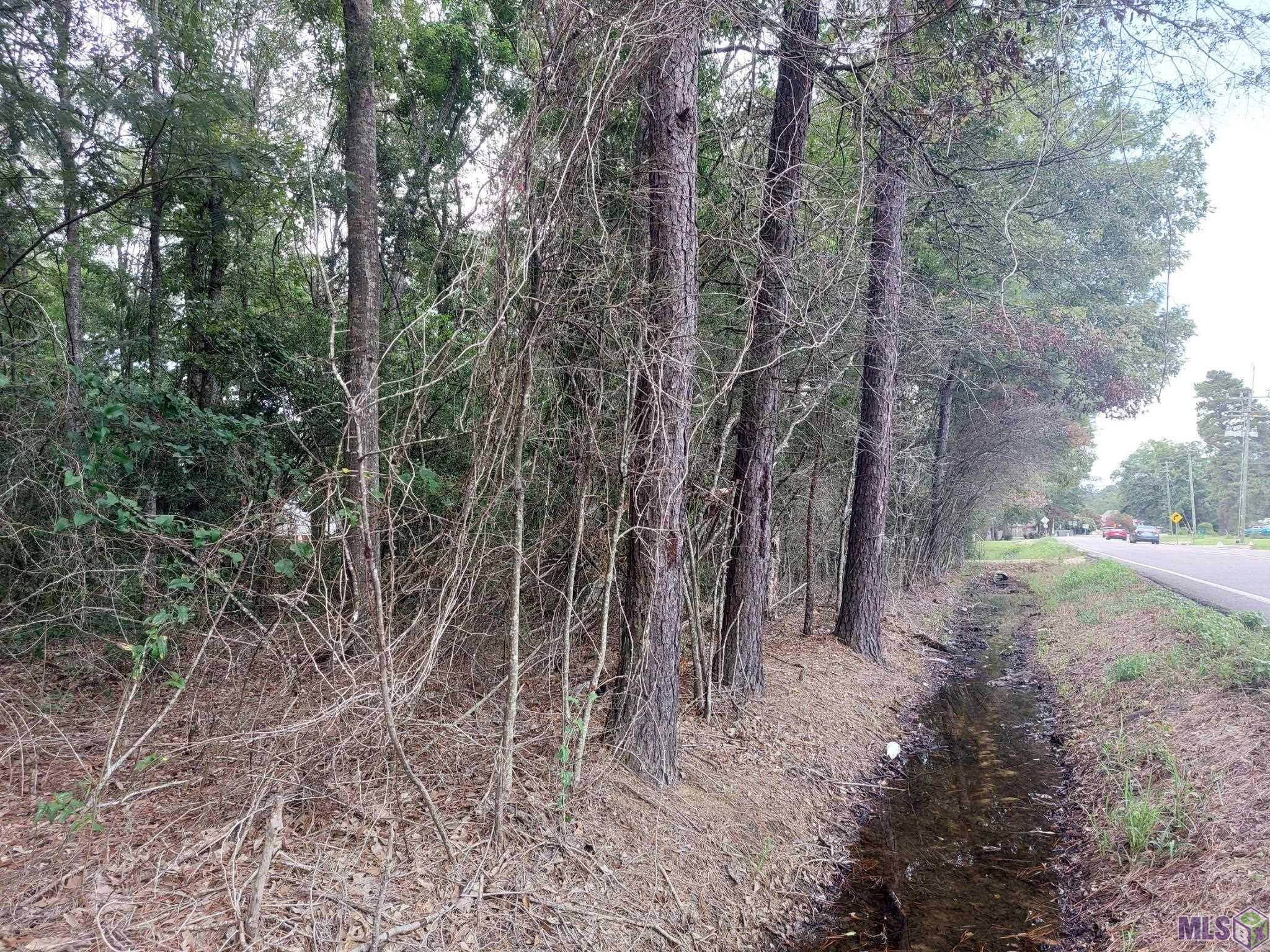 Homes for sale in Denham Springs, LA | A-2 La Hwy 1019, Denham Springs, LA 70706 | MLS# BR2025012194