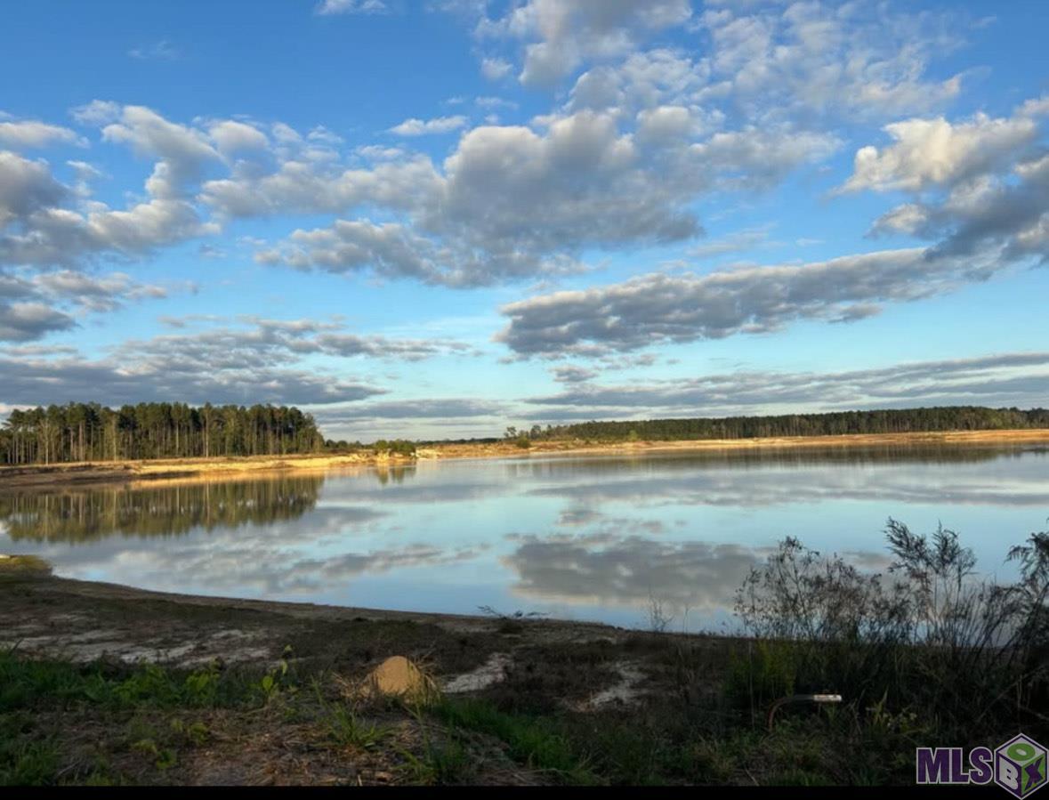 Homes for sale in Denham Springs, LA | 3580 Nesom Rd, Denham Springs, LA 70706 | MLS# BR2025012642