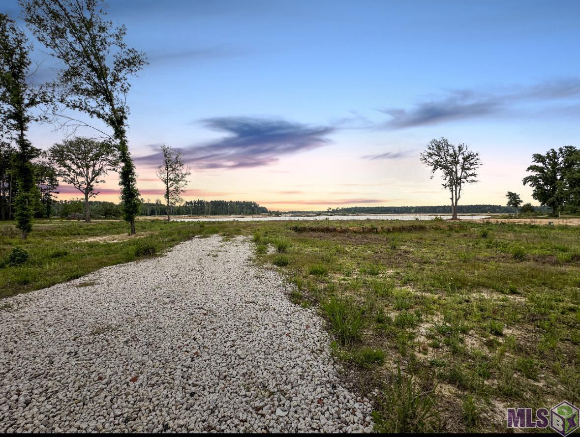 Homes for sale in Denham Springs, LA | 3580 Nesom Rd, Denham Springs, LA 70706 | MLS# BR2025012642