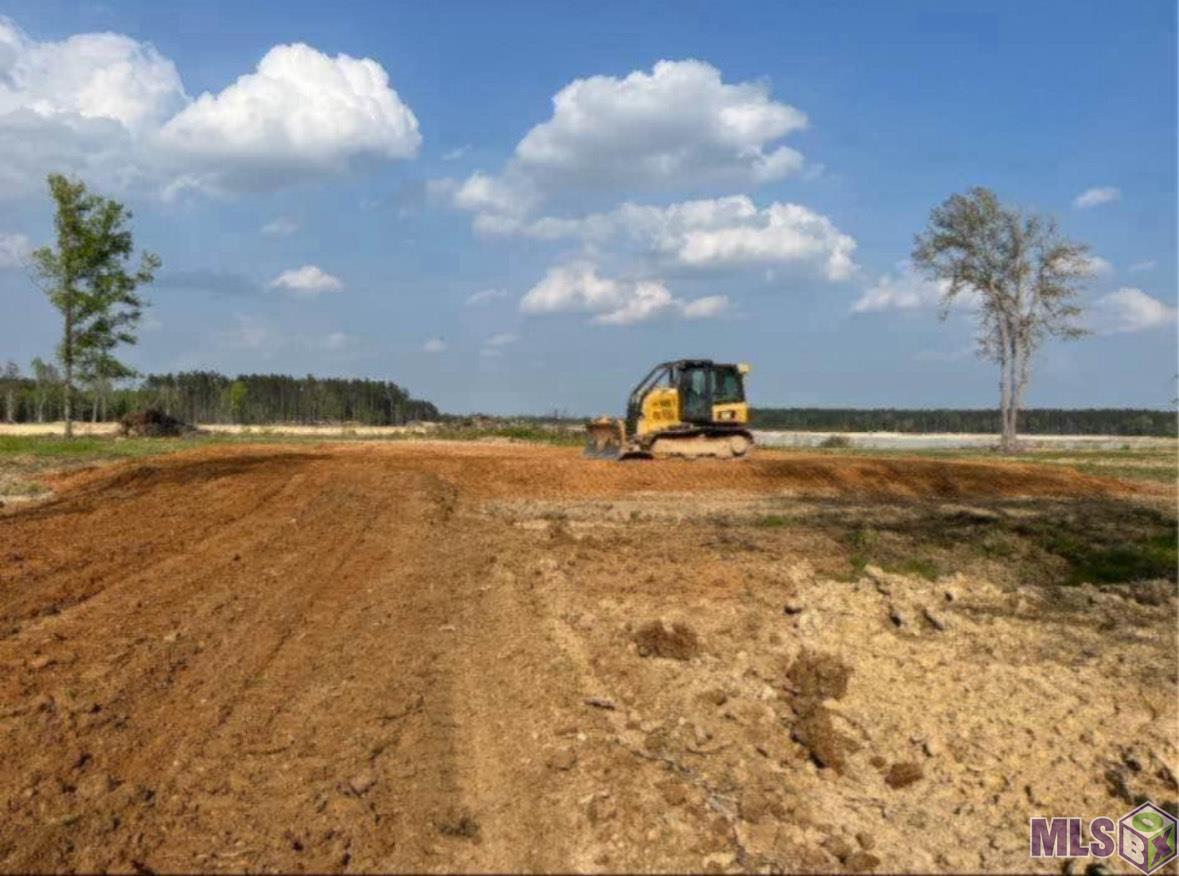 Homes for sale in Denham Springs, LA | 3580 Nesom Rd, Denham Springs, LA 70706 | MLS# BR2025012642