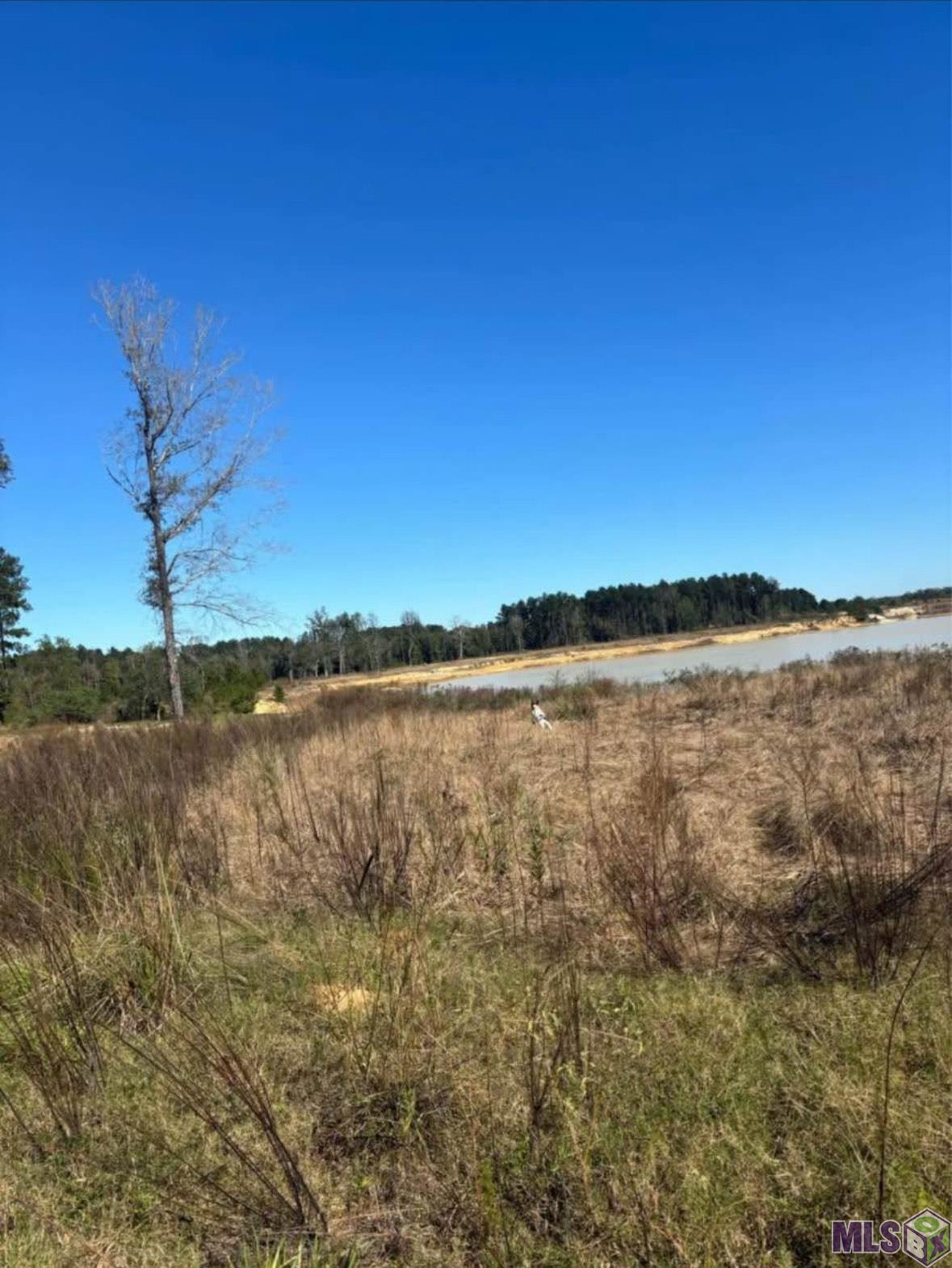 Homes for sale in Denham Springs, LA | 3580 Nesom Rd, Denham Springs, LA 70706 | MLS# BR2025012642