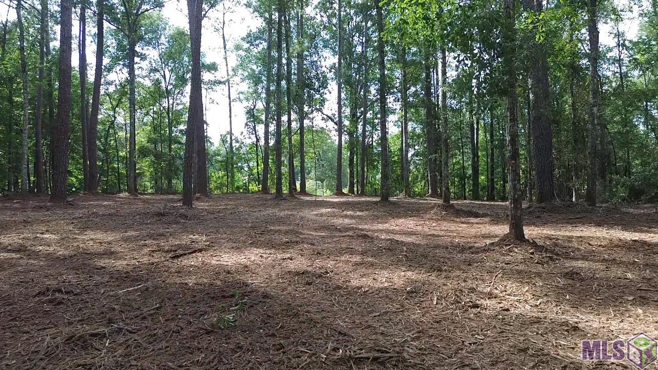 Homes for sale in Roseland, LA | Tbd La Hwy 1058, Roseland, LA 70456 | MLS# BR2025013486