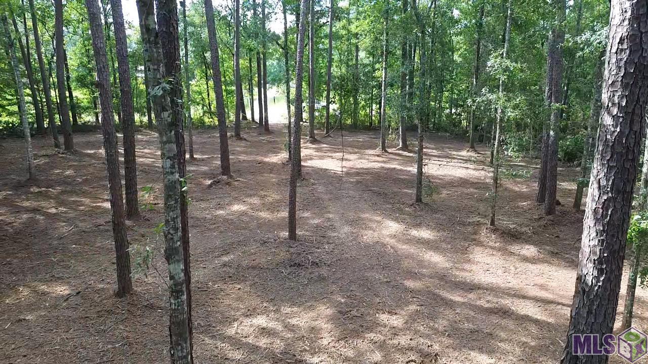 Homes for sale in Roseland, LA | Tbd La Hwy 1058, Roseland, LA 70456 | MLS# BR2025013486