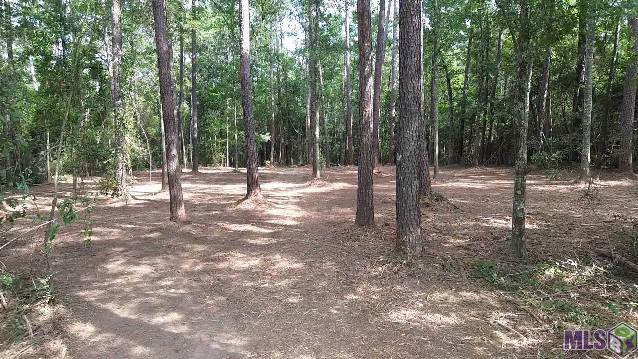 Homes for sale in Roseland, LA | Tbd La Hwy 1058, Roseland, LA 70456 | MLS# BR2025013486