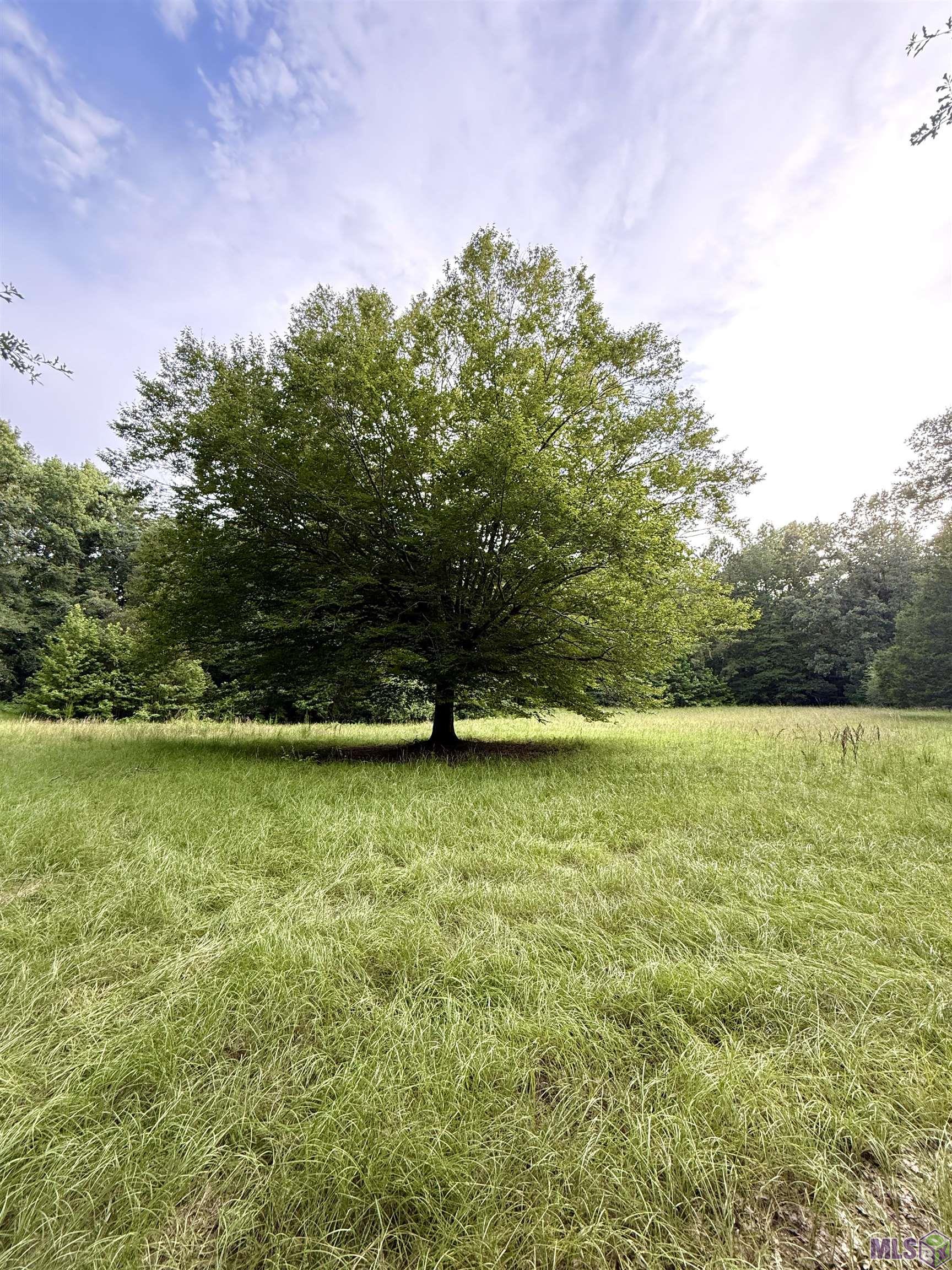 Homes for sale in Port Gibson, MS | 8145 Gordon Station Road, Port Gibson, MS 39150 | MLS# BR2025014119