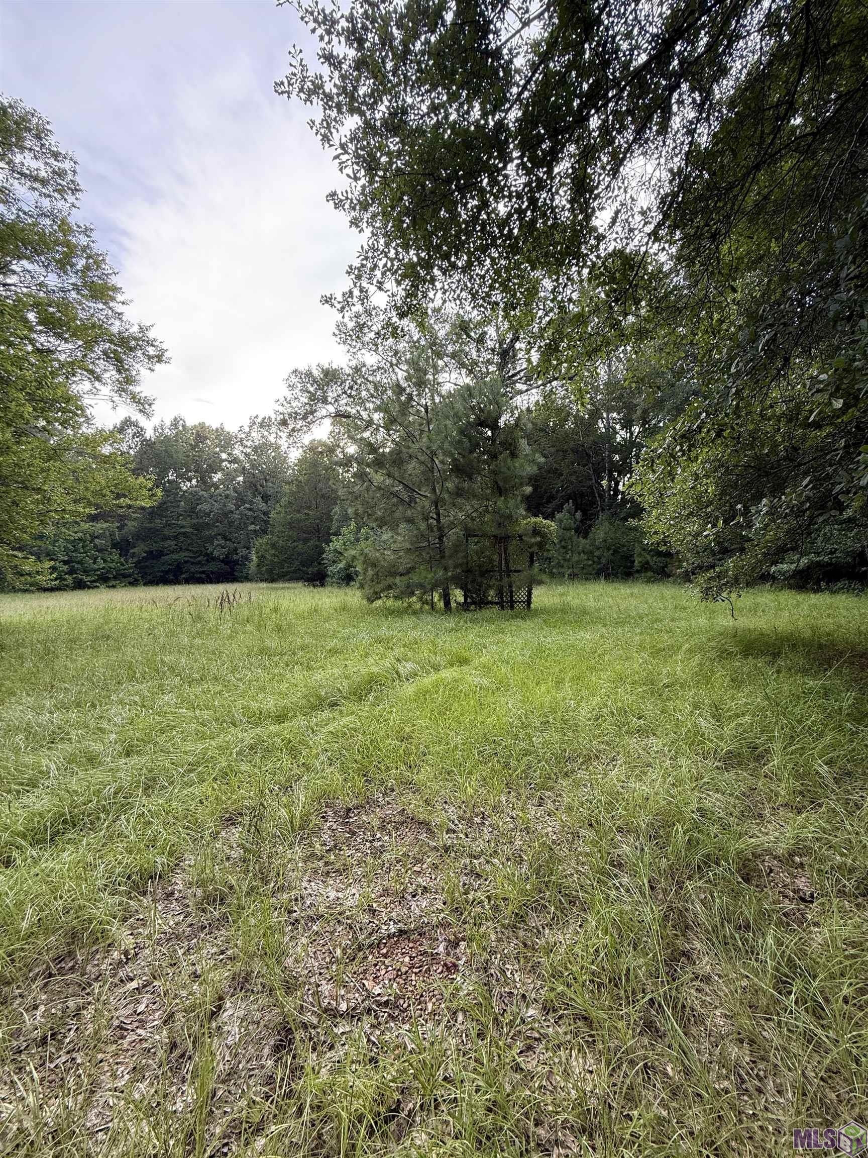 Homes for sale in Port Gibson, MS | 8145 Gordon Station Road, Port Gibson, MS 39150 | MLS# BR2025014119