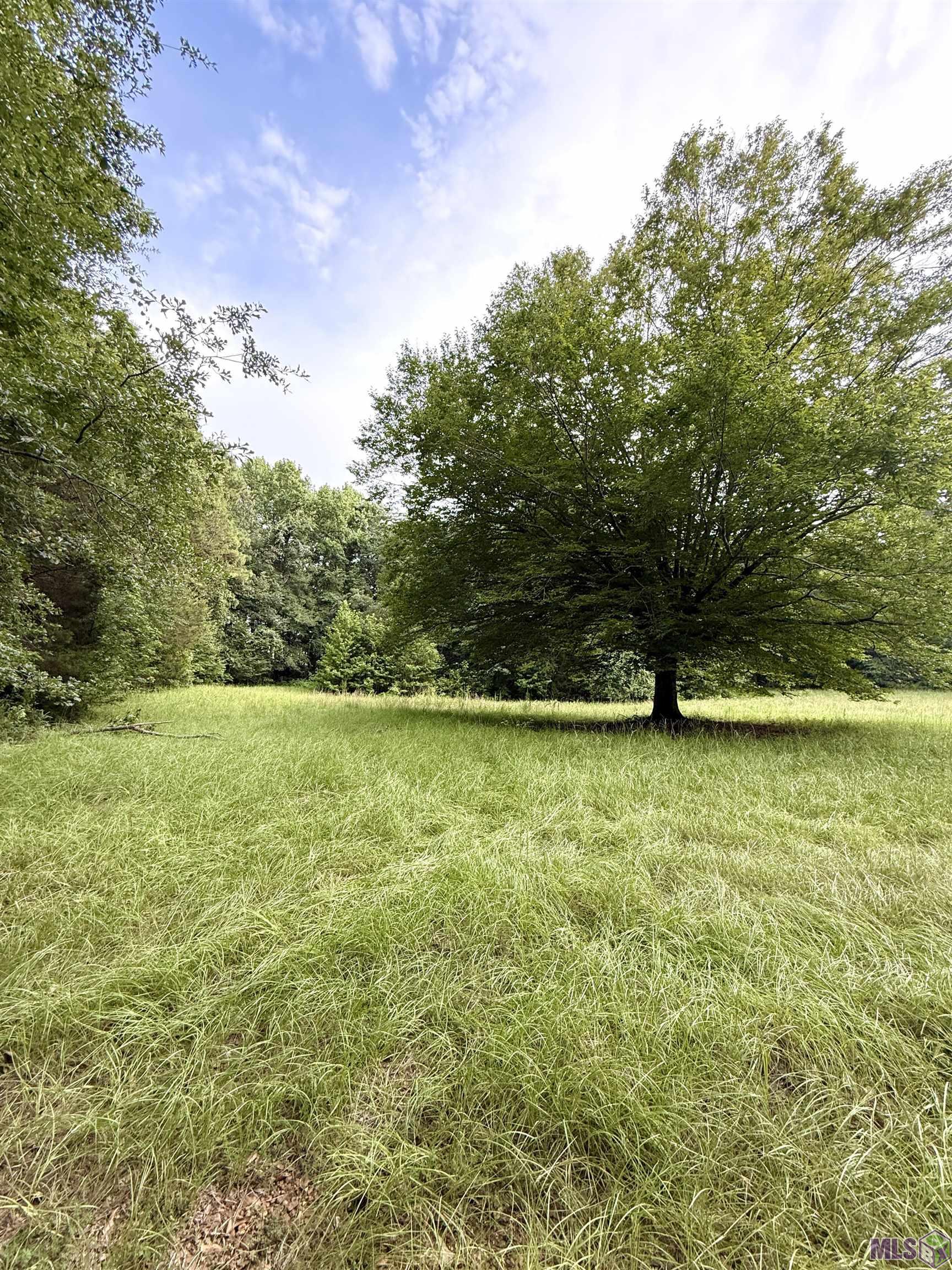 Homes for sale in Port Gibson, MS | 8145 Gordon Station Road, Port Gibson, MS 39150 | MLS# BR2025014119