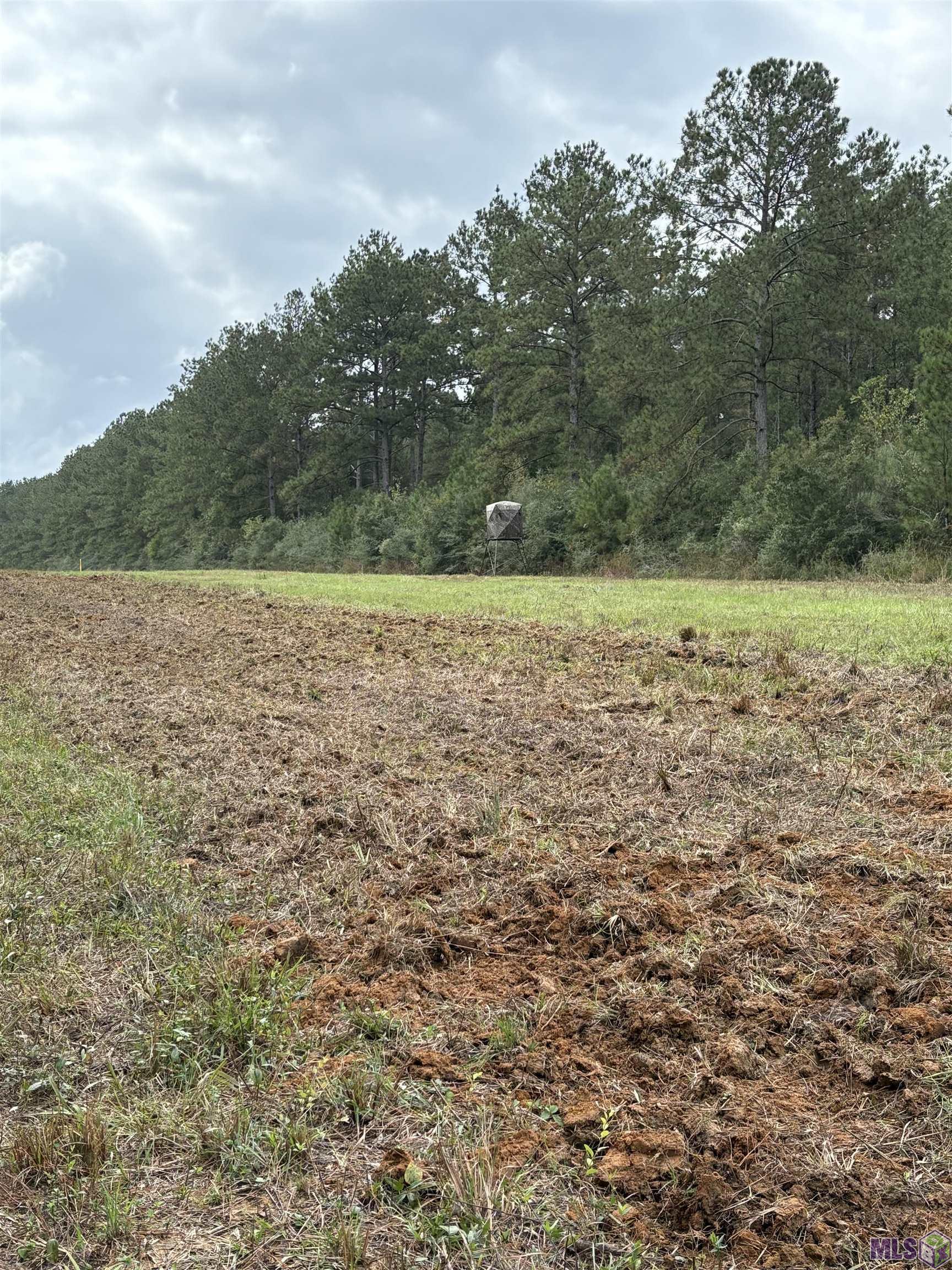 Homes for sale in Greensburg, LA | Tbd Aunt Margies Road, Greensburg, LA 70441 | MLS# BR2025014369