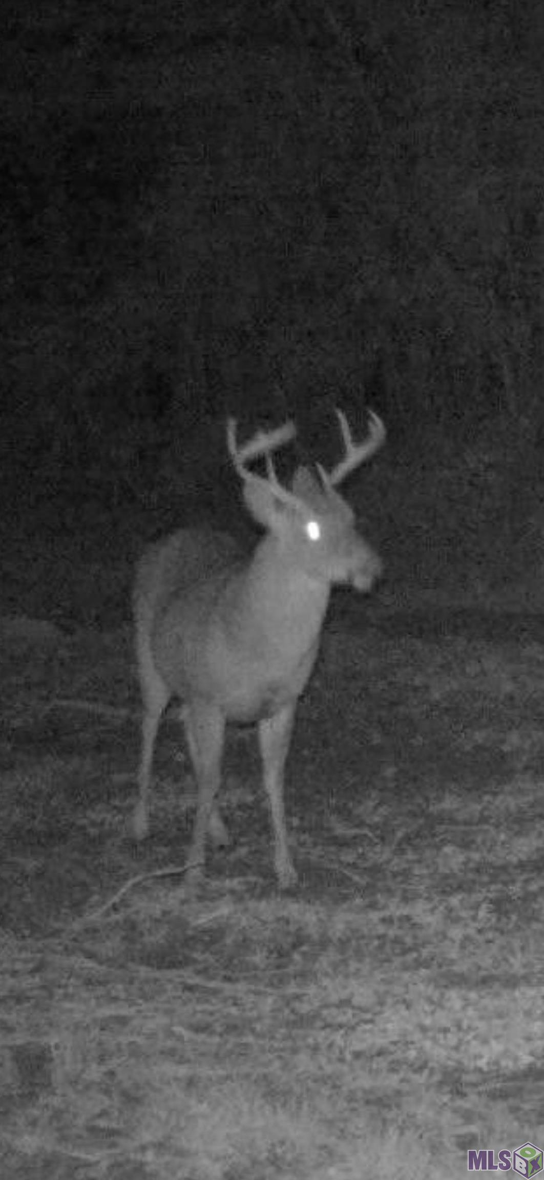 Homes for sale in Greensburg, LA | Tbd Aunt Margies Road, Greensburg, LA 70441 | MLS# BR2025014369