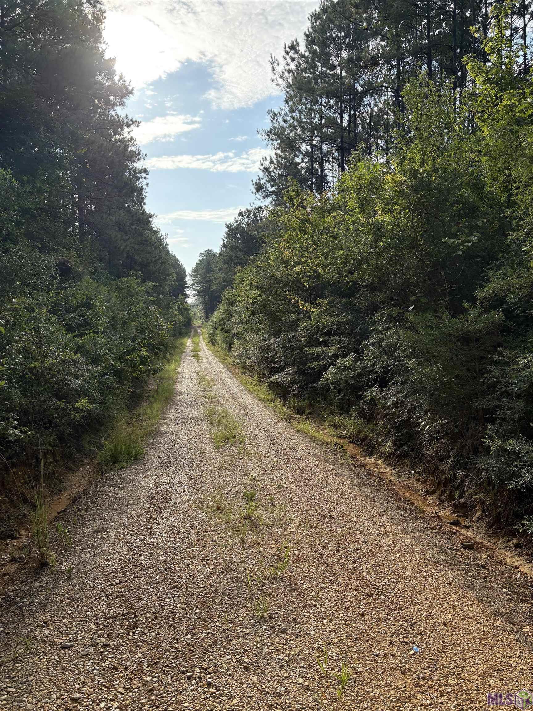 Homes for sale in Greensburg, LA | Tbd Aunt Margies Road, Greensburg, LA 70441 | MLS# BR2025014369