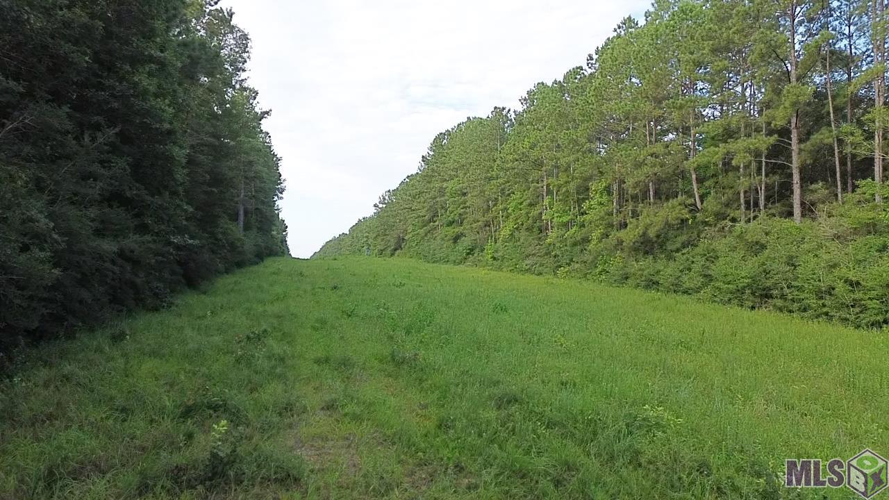 Homes for sale in Greensburg, LA | Tbd Aunt Margies Road, Greensburg, LA 70441 | MLS# BR2025014369