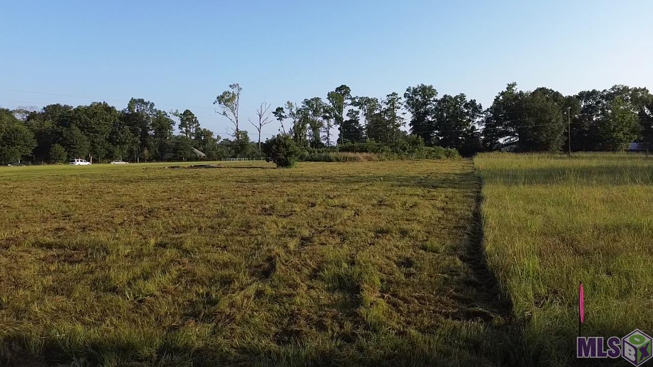 Homes for sale in Pine Grove, LA | Tbd Carrier Rd, Pine Grove, LA 70453 | MLS# BR2025014569